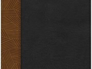 CSB Rainbow Study Bible Black/Tan