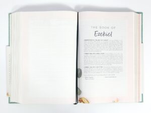Personalize your faith with the CSB (In)Courage Devotional Bible - Black Letter Edition, a Christian study Bible