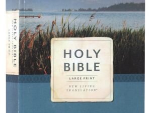 New Living Translation Economy Outreach Bible in large print with black lettering.