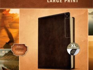NIV Large Print Study Bible, a comprehensive Bible with large print for easy reading and in-depth study.