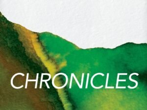 Immerse Chronicles: The Reading Bible Series by NLT