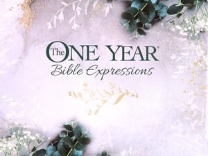 NLT New Living Translation Bible, a popular Bible translation, available for purchase