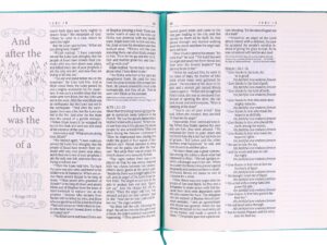 Bible study with the NLT One Year Bible, deepen your faith