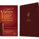 Large Print Study Bible, RVR60 Edition, Global Language Bible, Daily Living Study