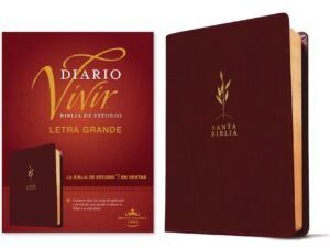 Large Print Study Bible, RVR60 Edition, Global Language Bible, Daily Living Study