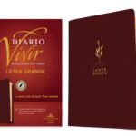 Study the Bible with the Global Language RVR60 Daily Living Edition, a comprehensive guide in Spanish featuring large print a