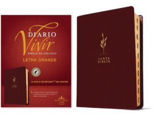 Study the Bible with the Global Language RVR60 Daily Living Edition, a comprehensive guide in Spanish featuring large print a