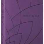NLT New Living Translation Premium Gift Bible in Red Letter Edition, Filament Enabled