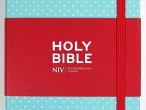 A British edition NIV journaling Bible with a mint polka dot cover and elastic band.