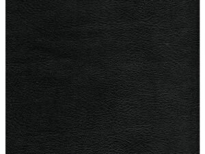 CSB Giant Print Reference Bible Black (Red Letter Edition)