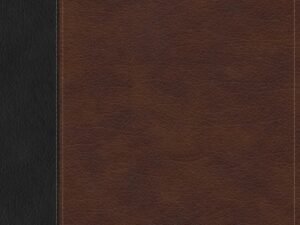 Elegant CSB Christian Standard Bible brown and black indexed red letter edition