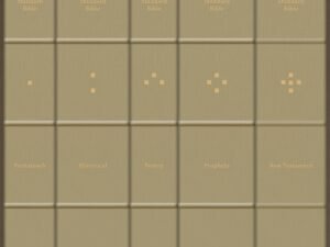 CSB Devotional Journaling Bible 5 Volume Collection leather-bound Bible edition