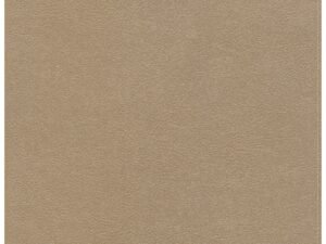 Elevate your devotion with the CSB She Reads Truth Bible, a luxurious champagne indexed edition.