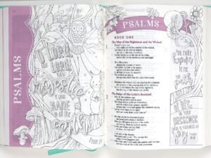 ESV My Creative Bible For Girls Teal Butterfly