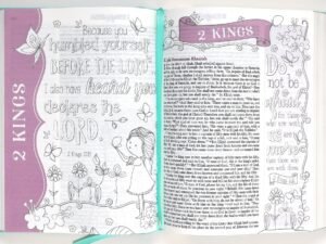 ESV My Creative Bible for Girls Teal Butterfly product image