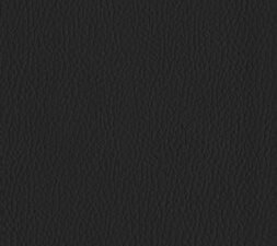 ESV Reformation Study Bible Student Edition Black with in-depth study notes and resources