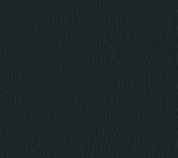 English Standard Version Reformation Study Bible Student Edition in Midnight Blue