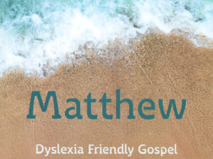Luxury edition of the CSB Gospel, featuring Inspiring Grace Series and elegant design