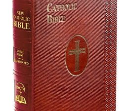 Compact Roman Catholic New American Bible Revised Edition (NABRE) Bible