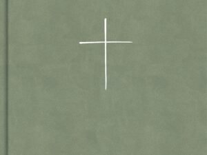 CSB Illustrator’s Notetaking Bible Large Print Edition, Sage (Black Letter Edition)