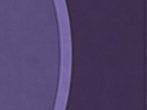 Elevate your devotion with the Luxury Christian Standard Bible Purple Black Letter Edition, a premium study Bible for discern
