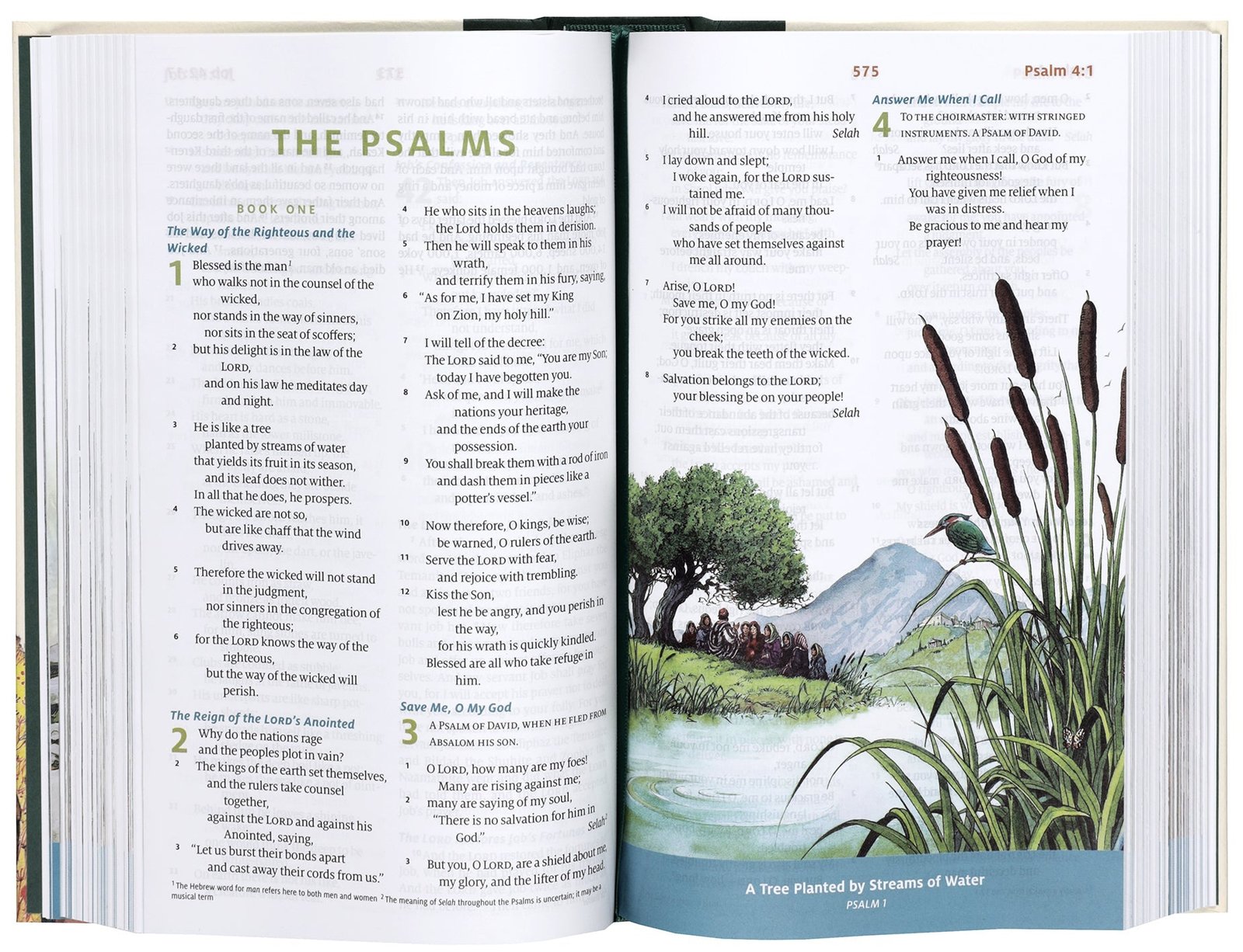 A beautifully designed Bible for kids, bringing the ESV translation to life with colorful graphics and stories.