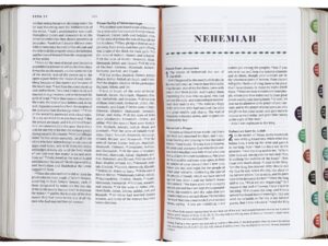 ESV The Biggest Story Holy Bible for Kids in Brown Living Hope Design Indexed Black Letter Edition