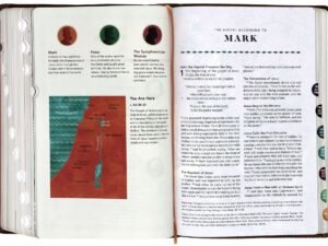 ESV The Biggest Story Holy Bible for Kids Brown Living Hope Design Indexed (Black Letter Edition)