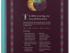 ESV The Biggest Story Holy Bible for Kids in Teal Waterfall Design with cover open