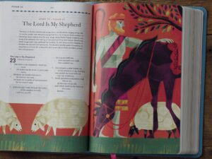 ESV The Biggest Story Holy Bible for Kids in Teal Waterfall Design on a bookshelf