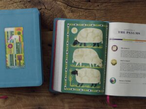 ESV The Biggest Story Holy Bible for Kids Teal, Waterfall Design