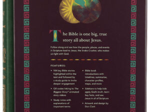 ESV The Biggest Story Holy Bible for Kids with a dark green armor design on a desk