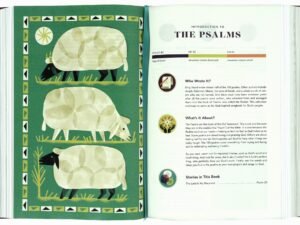 Top view of ESV The Biggest Story Holy Bible for Kids with a dark green armor design