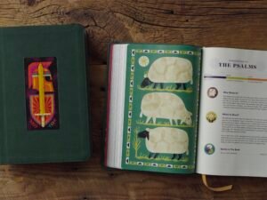 ESV The Biggest Story Holy Bible for Kids Dark Green, Armor Design