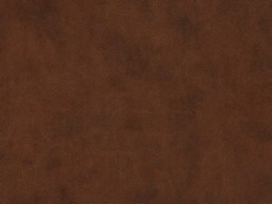 ESV Value Compact Bible Brown (Red Letter Edition)