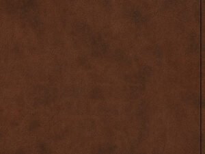 ESV Premium Gift Bible Brown (Black Letter Edition)