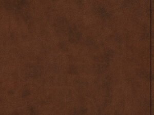 ESV Premium Gift Bible Brown (Red Letter Edition)