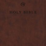 ESV Premium Church Bible, Brown