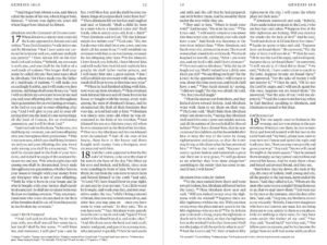 Large print ESV Holy Bible for Kids with black letter edition and kid-friendly content