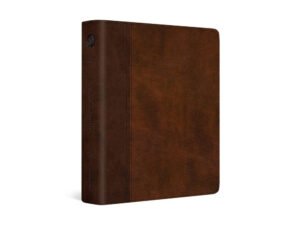 Red letter edition journaling bible with timeless design and brown tan cover