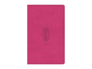 ESV Kids Bible Thinline Berry, The True Vine Design, a red letter edition for kids.