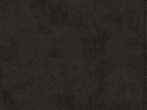 ESV Wide Margin Reference Bible Black (Red Letter Edition)