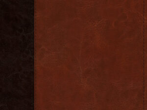 ESV Devotional Journaling Bible with wide margin and writing space for notes and reflection