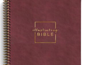 Cranberry-colored Bible with journaling space for notes and reflection