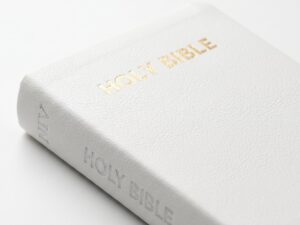 Studio photo of NIV Compact White in detail