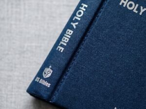 Studio photo of NIV Compact Blue in detail