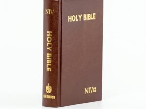 Studio photo of NIV Holy Bible Compact Brown in hero