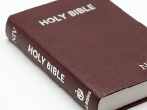 Studio photo of NIV Holy Bible Compact, Red in detail