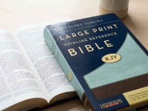 Studio photo of KJV Large Print Thinline Reference Bible (Flexisoft, Chocolate/Blue, Red Letter) in detail