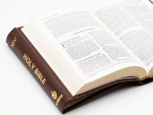 Studio photo of NIV Holy Bible Compact Brown in detail